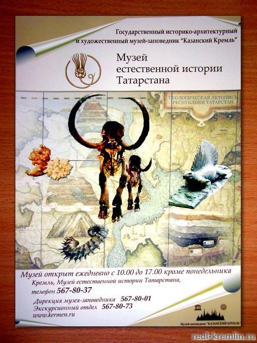 Афиша Музея естественной истории Татарстана